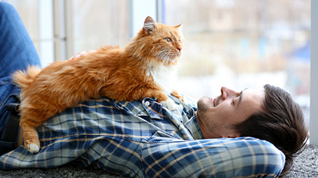 Young man with a fluffy cat on his chest