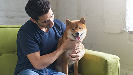 A man hugs his dog on the couch